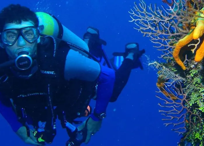 Casa Ursula - Monsenor Apts * Mogán